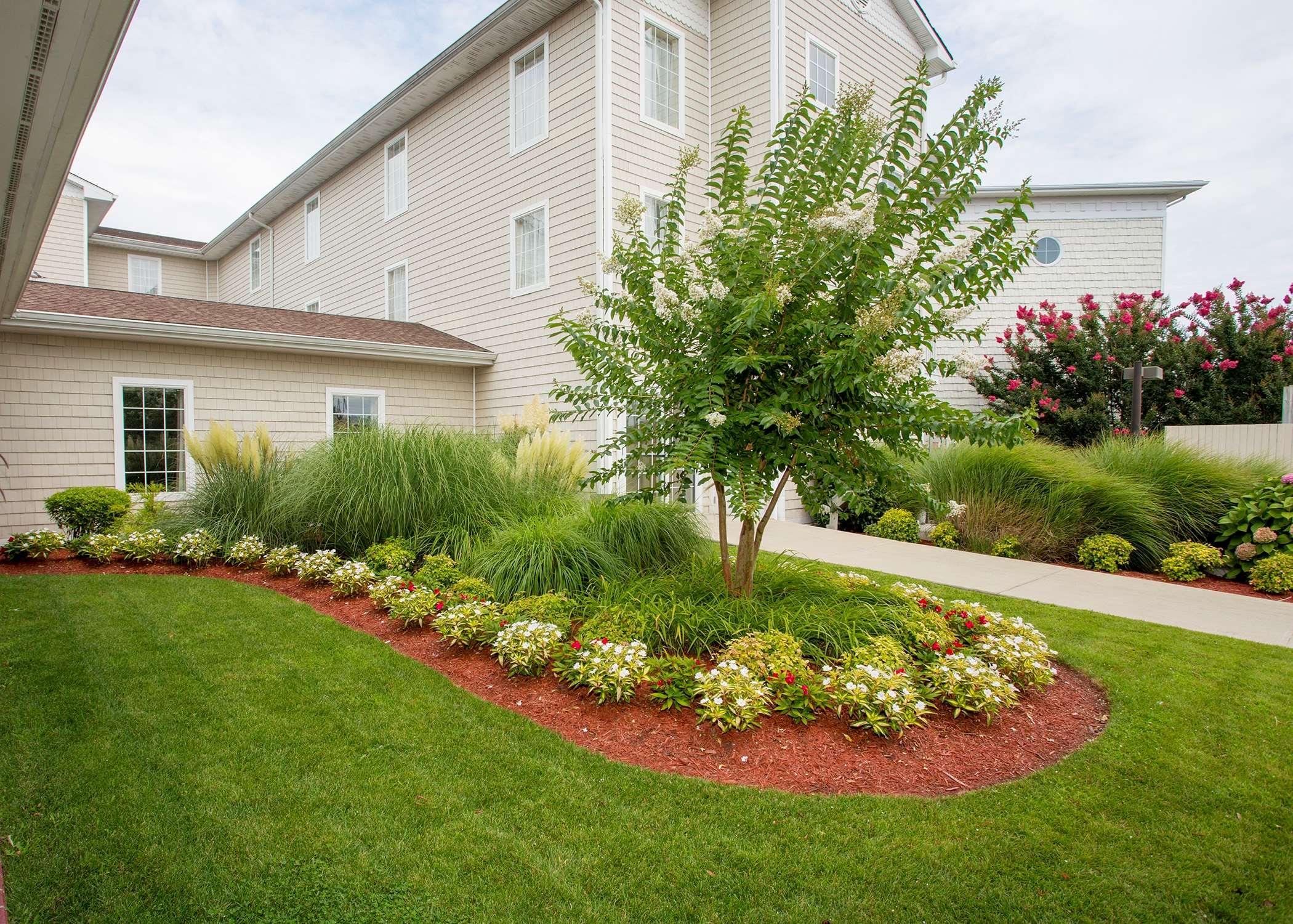Hampton Inn & Suites Chincoteague-Waterfront, Va מראה חיצוני תמונה